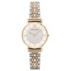 Montre EMPORIO ARMANI Pour Femme, AR2076