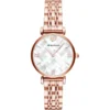 Montre EMPORIO ARMANI AR11110