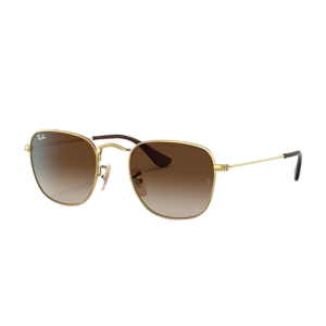Lunettes de soleil Ray-Ban RB3857 919651