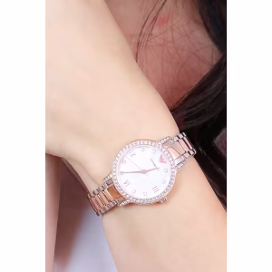 quartz montre emporio armani femme ar11499 913521